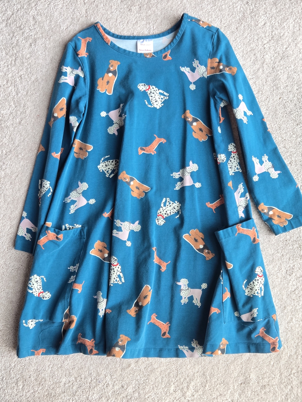 Hanna Andersson Teal Dress with Playful Dog Print